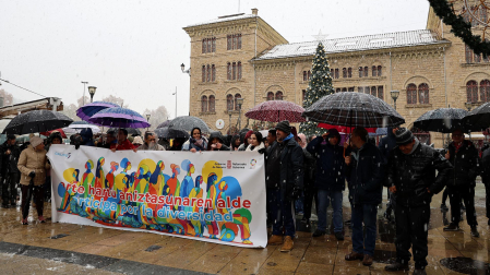 Fotos de la marcha por la diversidad en Estella /