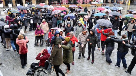 Fotos de la marcha por la diversidad en Estella /