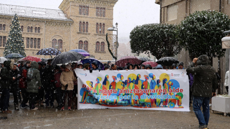 Fotos de la marcha por la diversidad en Estella /