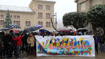 Fotos de la marcha por la diversidad en Estella /