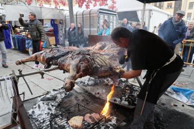 Fotos de la fiesta de San Andrés en Estella
