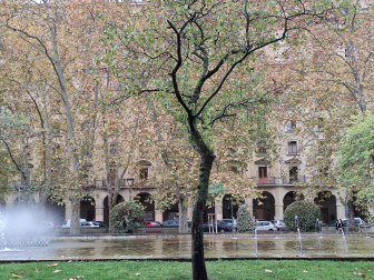 Oficina exclusiva en Plaza de la Libertad