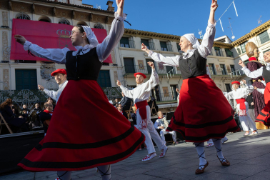 Celebración del día de Navarra en Tudela.