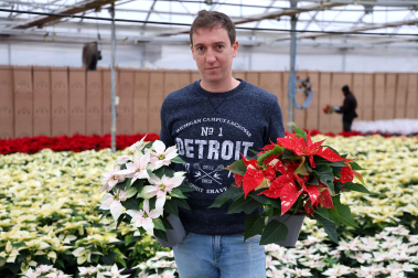 Plantas y flores en los invernaderos de Inverprao.