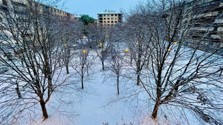 Fotos de la nevada del Día de Reyes en Navarra