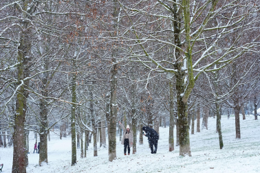 Fotos de la nevada del Día de Reyes en Navarra