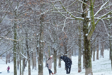 Fotos de la nevada del Día de Reyes en Navarra