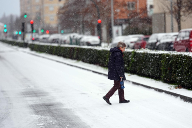 Fotos de la nevada del Día de Reyes en Navarra