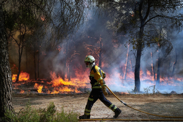Fotos del resumen de 2025 de la Asociación de Reporteros Gráficos de Navarra (AREGNA)