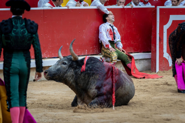 Fotos del resumen de 2025 de la Asociación de Reporteros Gráficos de Navarra (AREGNA)