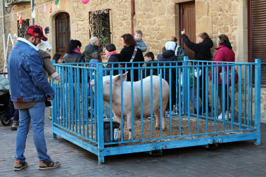 Fotos de la bendición y rifa del cuto en Artajona.