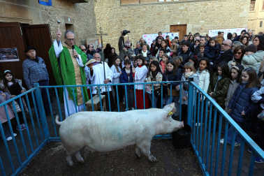Fotos de la bendición y rifa del cuto en Artajona.