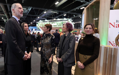 REYES fitur 2026