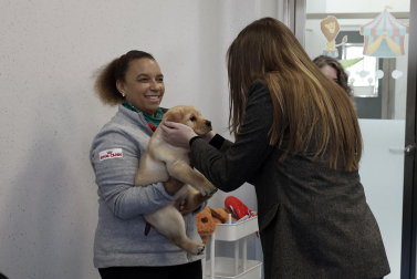 Fotos de la visita de la infanta Sofía al centro de perros guía de la Fundación ONCE