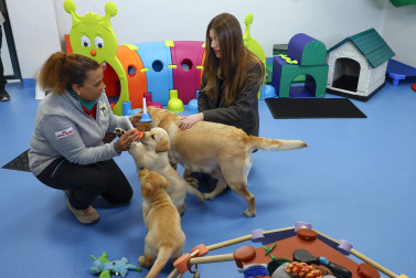 Fotos de la visita de la infanta Sofía al centro de perros guía de la Fundación ONCE