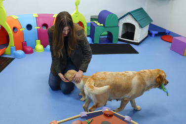 Fotos de la visita de la infanta Sofía al centro de perros guía de la Fundación ONCE