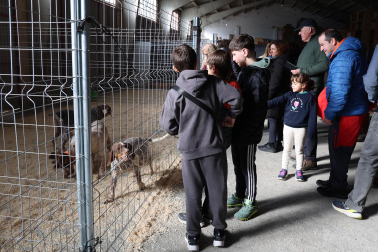 Fotos de la exposición de la raza de perros pachón navarro en las Ferias de Tafalla 2026