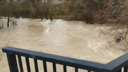A media mañana, el caudal casi supera ya el puente