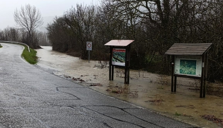 El río Arakil a su paso por Uharte Arakil, a eso de las doce y media de la mañana de este sábado.