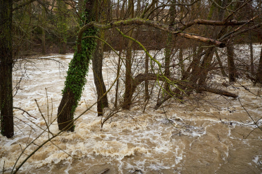 Crecida del río Ultzama a su paso por el Batán de Villava.