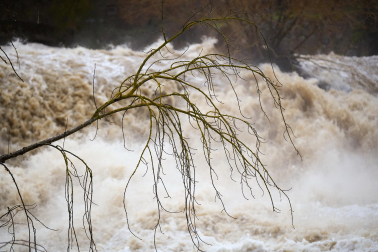 Crecida del río Ultzama a su paso por el Batán de Villava.