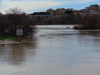 Crecida del Ebro en Tudela, este 15 de febrero por la mañana.