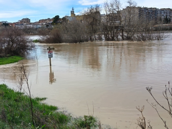 Crecida del Ebro en Tudela, este 15 de febrero por la mañana.