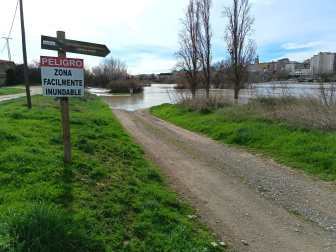 Crecida del Ebro en Tudela, este 15 de febrero por la mañana.