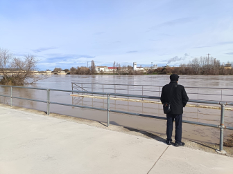 El puente, visto desde el embarcadero en Tudela.