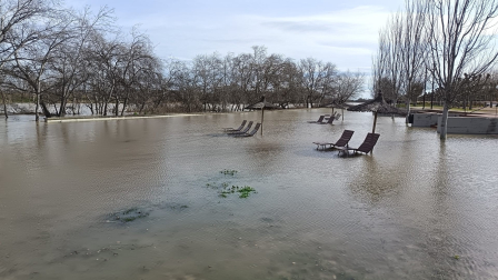 Imagen del paseo del Prado de Tudela, este domingo por la mañana.