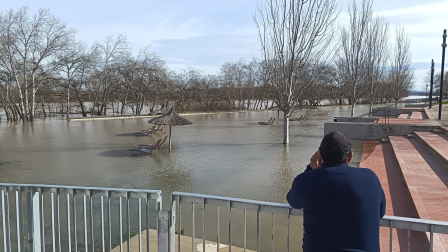 Imagen del paseo del Prado de Tudela, este domingo por la mañana.