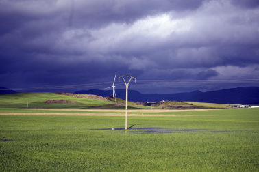 El exceso de agua debido a las últimas lluvias se deja notar en los campos agrícolas navarros.