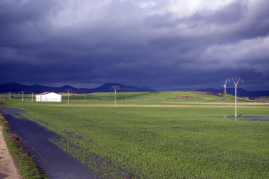El exceso de agua debido a las últimas lluvias se deja notar en los campos agrícolas navarros.