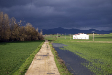 El exceso de agua debido a las últimas lluvias se deja notar en los campos agrícolas navarros.