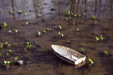 El exceso de agua debido a las últimas lluvias se deja notar en los campos agrícolas navarros.