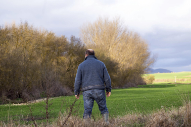 El exceso de agua debido a las últimas lluvias se deja notar en los campos agrícolas navarros.