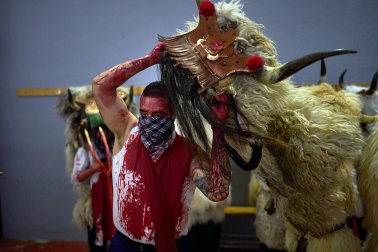La localidad volvió a sucumbir este martes, 17 de febrero, al asedio de la intimidación personificada en la simbiosis bovina y humana. Los ocultos bajo su apariencia se embadurnaron con 60 litros de sangre en un año de hermanamiento con la localidad vizcaína de Galdakao, que ayudó a rescatar el Carnaval en 1982