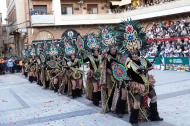 Fotos del carnaval de Villafranca 2026