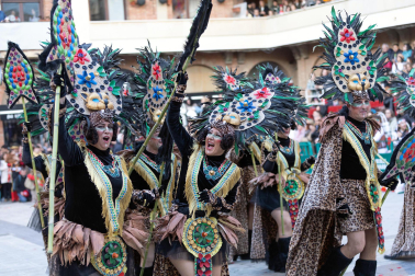 Fotos del carnaval de Villafranca 2026