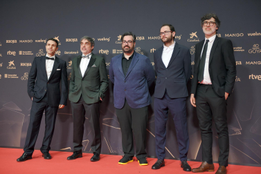Fotos de la alfombra roja de los Premios Goya 2026