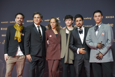 Fotos de la alfombra roja de los Premios Goya 2026