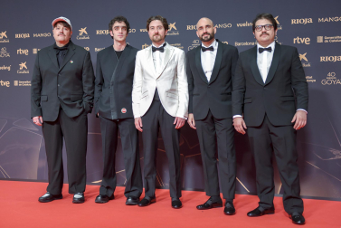 Fotos de la alfombra roja de los Premios Goya 2026