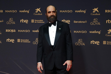 Fotos de la alfombra roja de los Premios Goya 2026