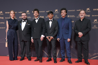 Fotos de la alfombra roja de los Premios Goya 2026.