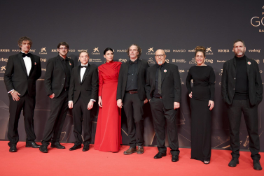 Fotos de la alfombra roja de los Premios Goya 2026.