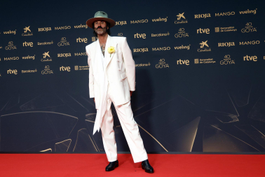 Fotos de la alfombra roja de los Premios Goya 2026.