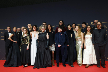 Fotos de la alfombra roja de los Premios Goya 2026.