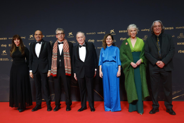 Fotos de la alfombra roja de los Premios Goya 2026.