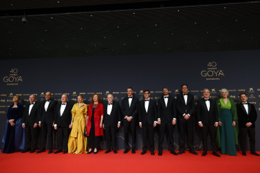 Fotos de la alfombra roja de los Premios Goya 2026.