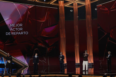 Fotos de la gala de entrega de los Premio Goya 2026